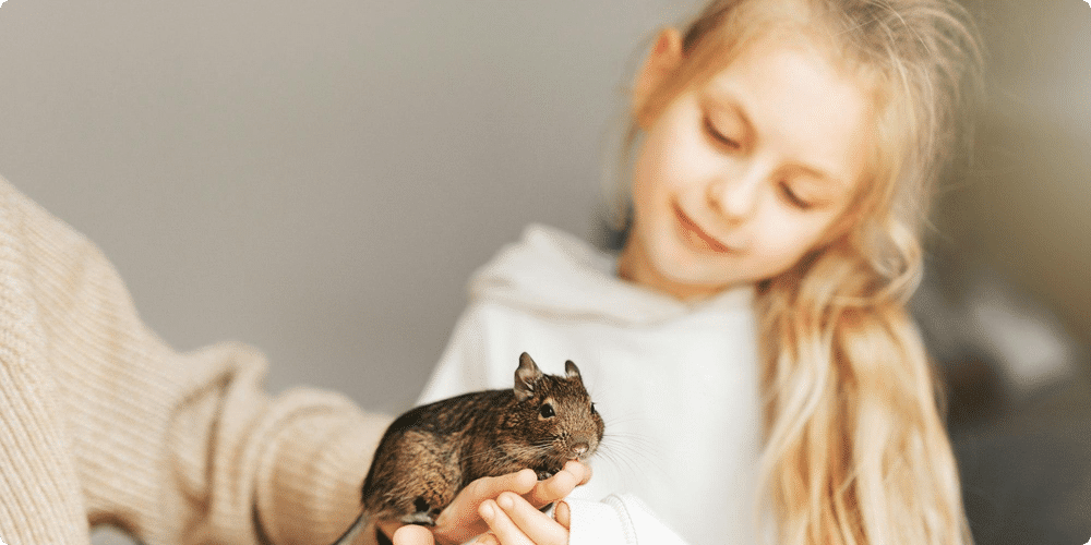 Des signes émotionnels positifs
