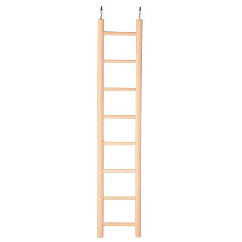 meilleure echelle cage rongeur
