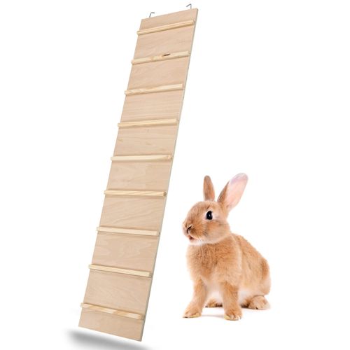 quelle echelle cage rongeur choisir