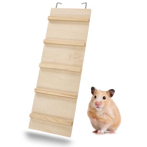 top echelle cage rongeur