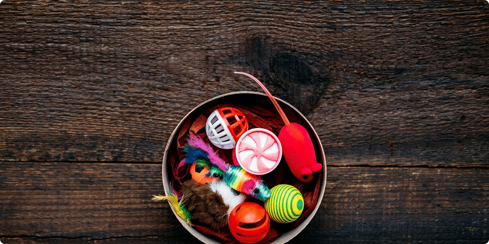 Les meilleurs jouets pour vos rats domestiques