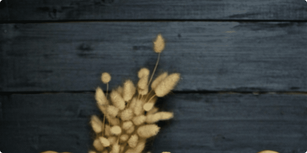 DIY : Créer vos propres jouets pour rats