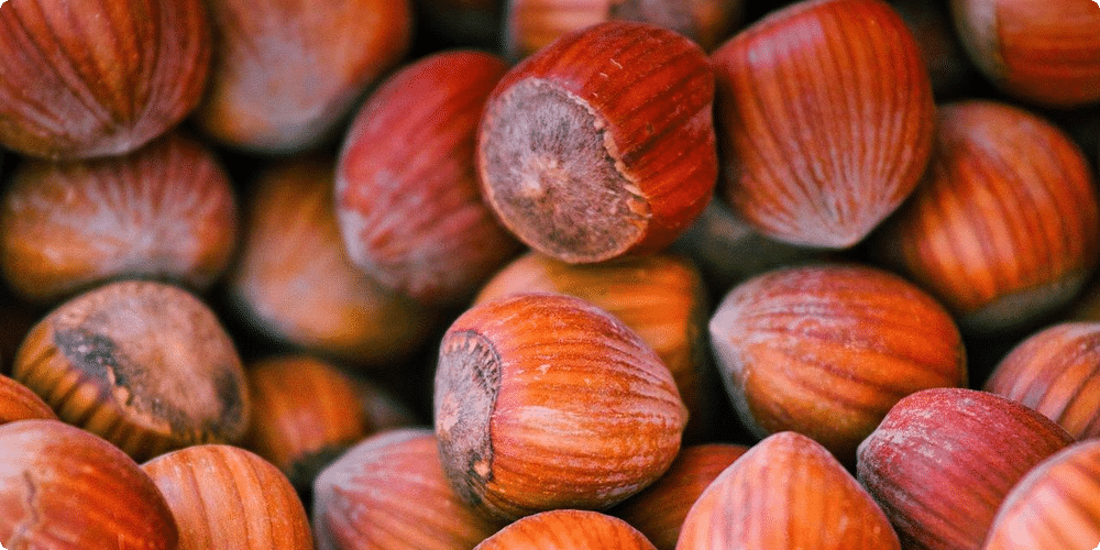 Pourquoi donner des friandises à votre chinchilla ?