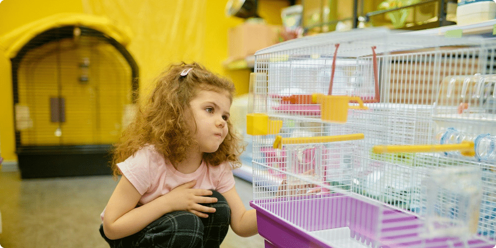 Les avantages d'une cage modulable