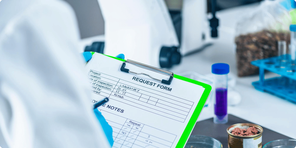 Choisir la bonne litière pour réduire les odeurs