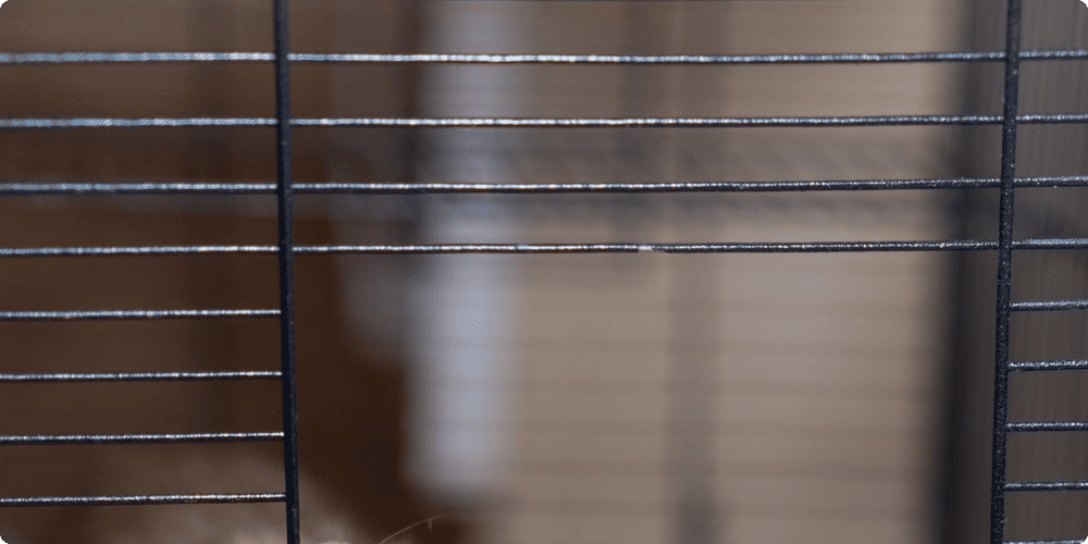 Astuce pour une propreté durable