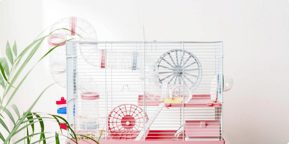 Comment assurer une propreté durable de la cage de votre rongeur